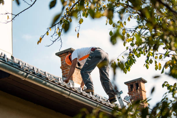 Best Roof Gutter Cleaning  in Marshallville, GA